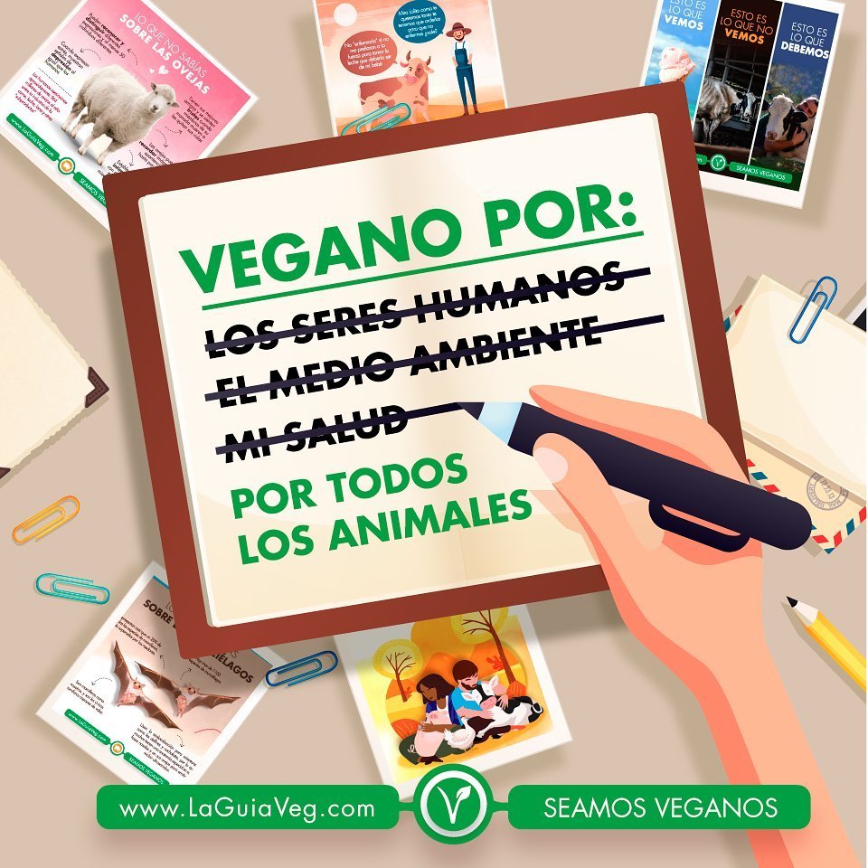 FilosofiaVegana's tweet photo. Si veganismo significa la doctrina de que los humanos no debemos explotar a los animales entonces dicho principio ético no se puede justificar argumentando sobre nuestra salud personal, el medio ambiente o la injusticia contra seres humanos: https://t.co/Uey2mlJD11 https://t.co/mCCRTPfcoJ