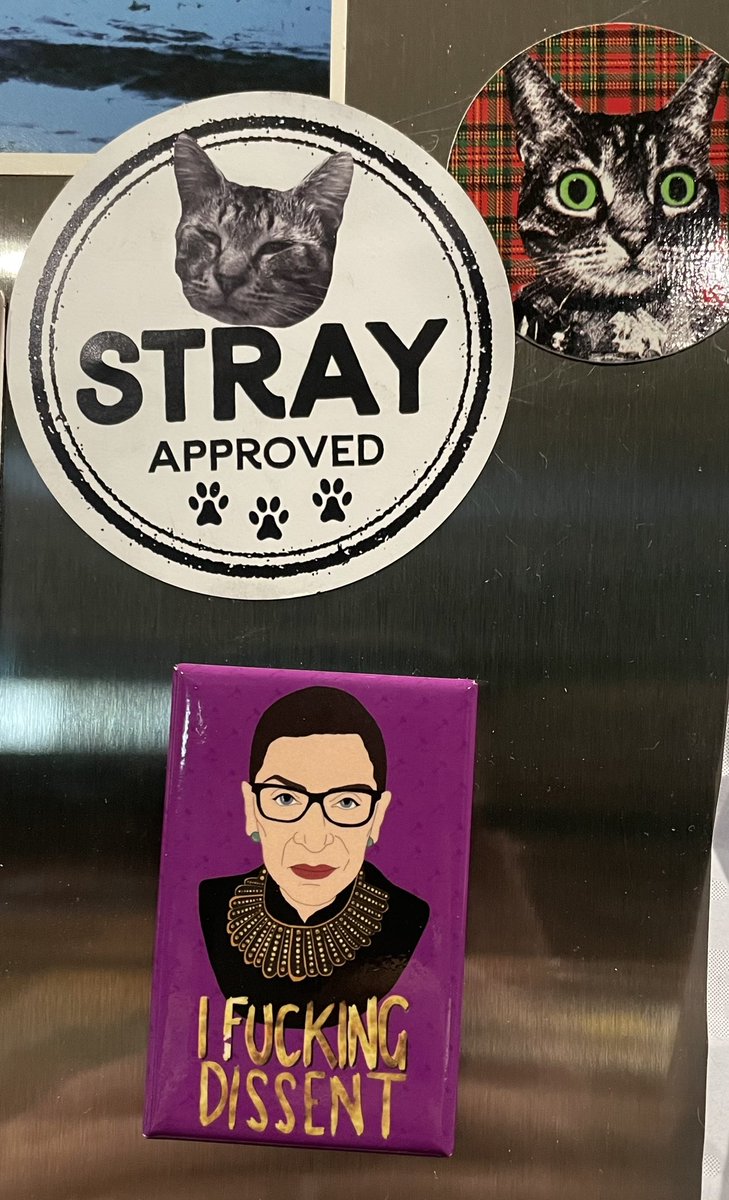 I do declare….. Lawd yes 🤣👀😀 #StrayStrong #rbg #righton #reality