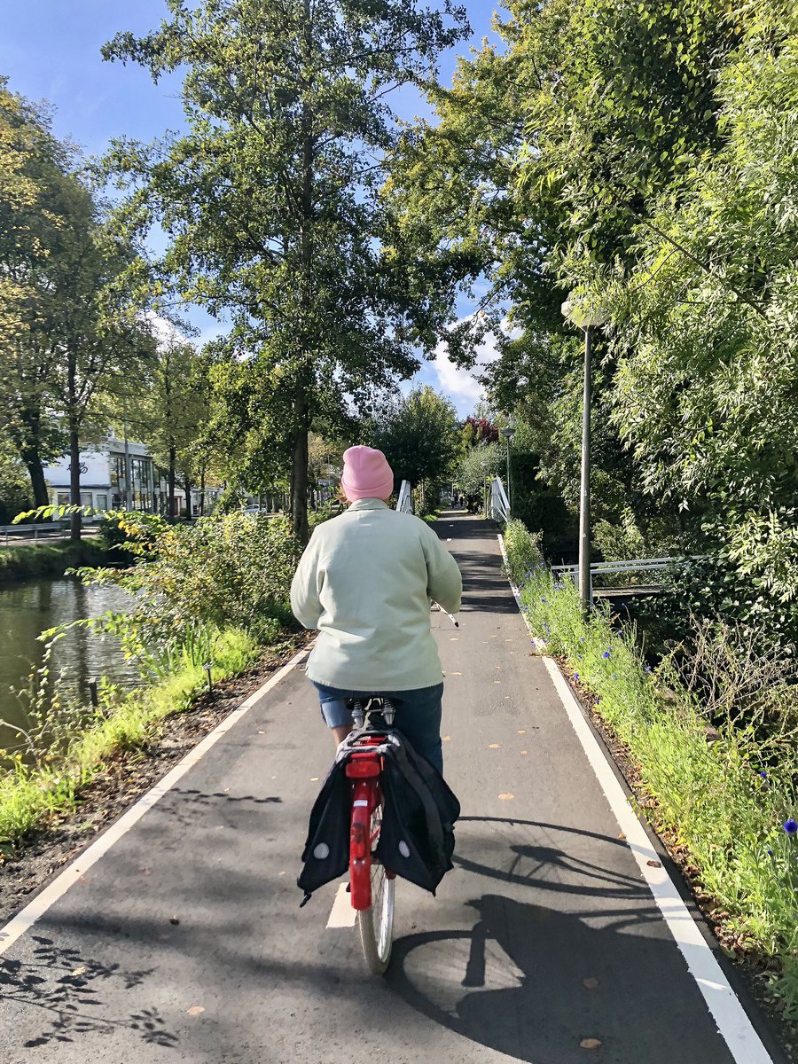 A reminder not to spend precious time and energy engaging with bad faith arguments. You won’t—and don’t need to—convince everyone.

Rather focus on articulating a positive, inclusive and liveable vision of the future directly at decision makers. The rest will take care of itself.