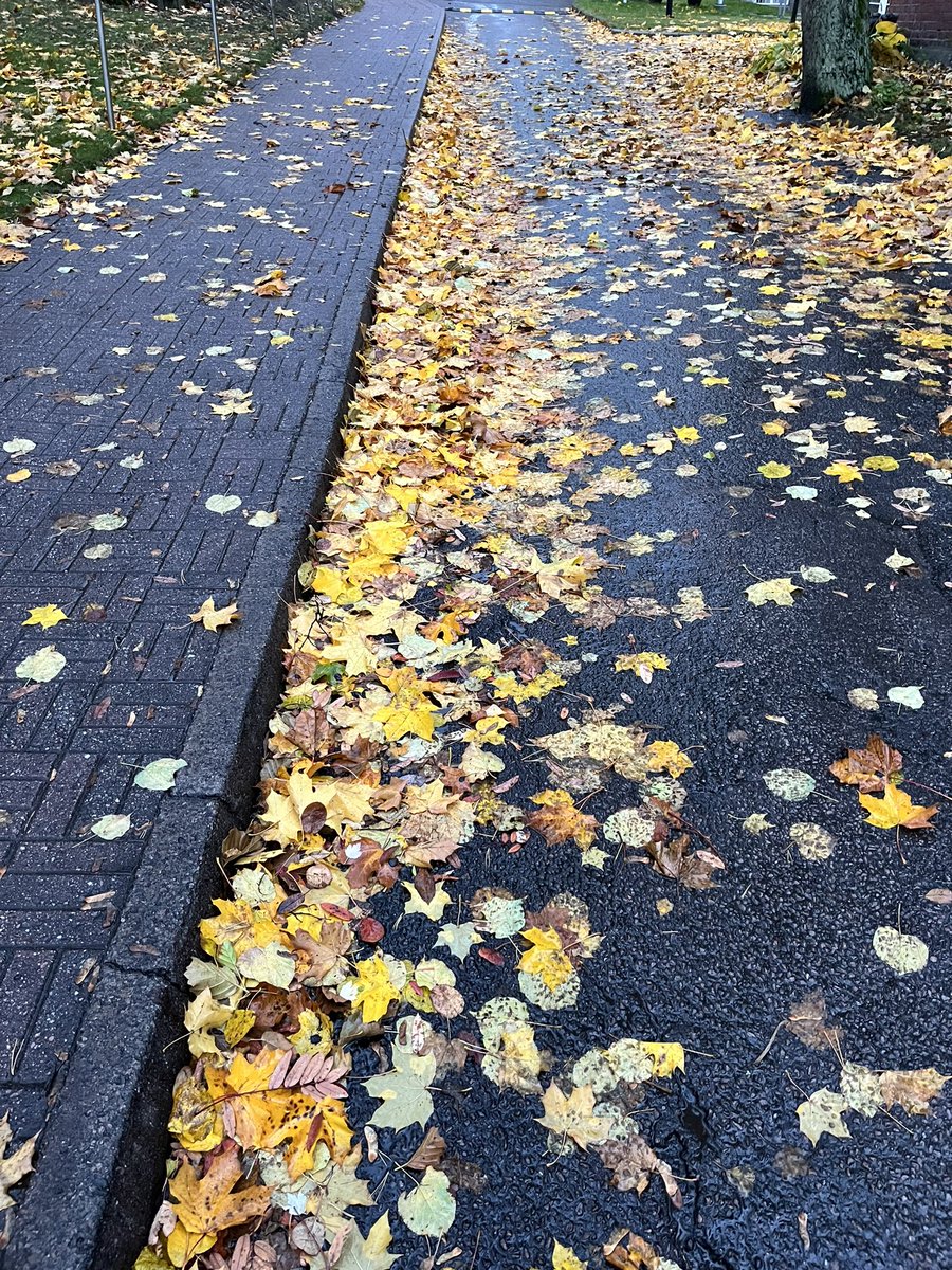 Tänään vietetään 20. Asunnottomien yötä - tapahtumaa, jota ei pitäisi olla olemassakaan. Asunto on jokaisen perusoikeus, eikä kadun pitäisi olla kenenkään koti.
#asunnottomienyö, #asunnottomuus, #asuntoensin #ihmisarvo