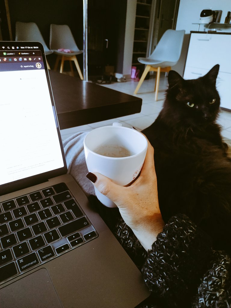 LoriePisicchio's tweet photo. Un bon café, un gentil compagnon, c'est parti pour la relecture des 260 propositions reçues sur le CFP du @SnowCampIO. Merci à tous ! https://t.co/ulaRNGOaRs
