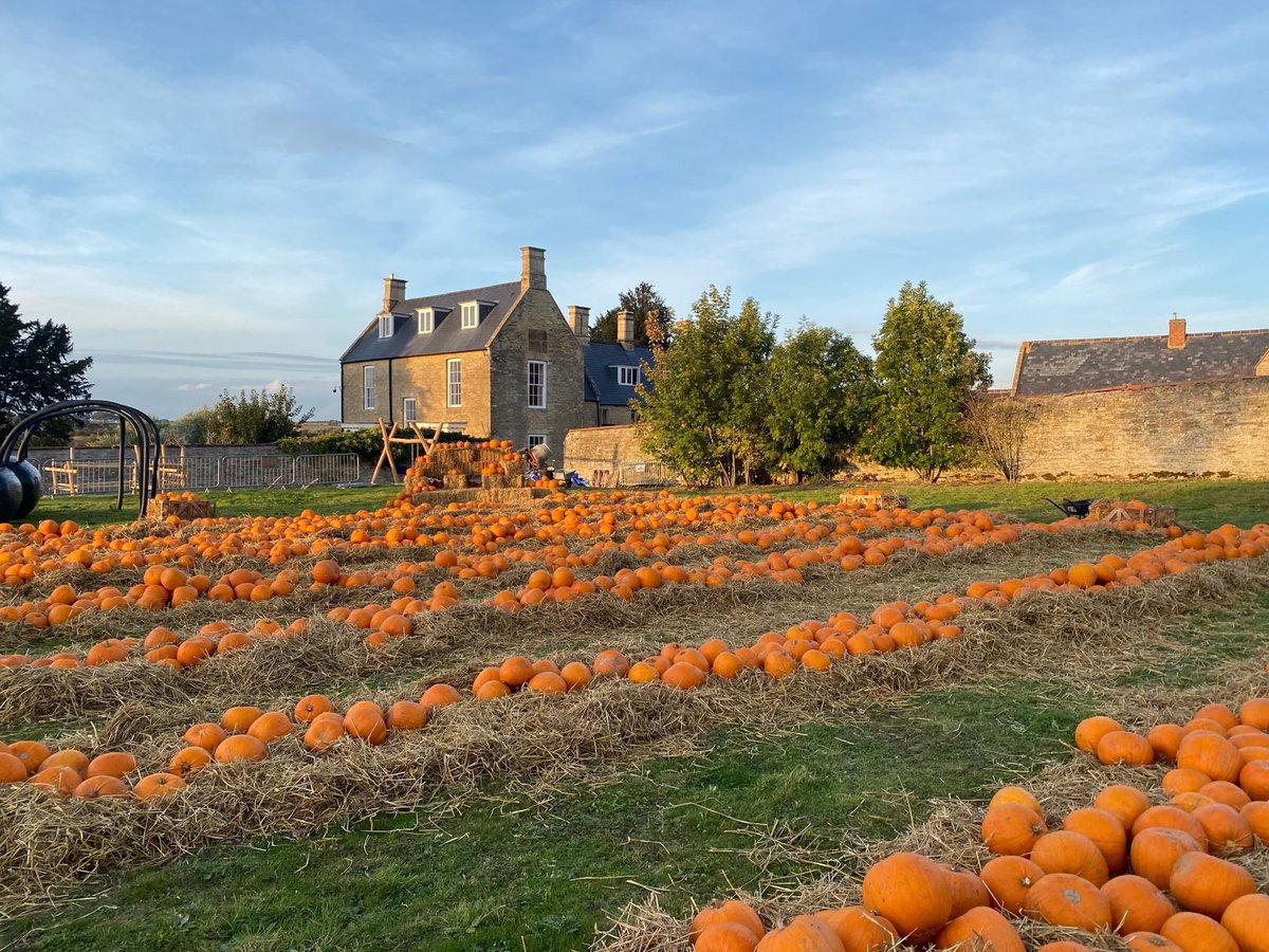 🎃🎃🎃🎃

We are LIVE on <a href="/BBCNorthampton/">BBC Northamptonshire</a> at 7.50 and 8.20 this morning talking all things GIANT pumpkin patch and haunted house! Opening this weekend - chesterhouseestate.org/halloween-half…

<a href="/tompradio/">Tom Percival</a> <a href="/AmosAnnabel/">Annabel Amos</a> <a href="/NNorthantsC/">North Northamptonshire Council</a>