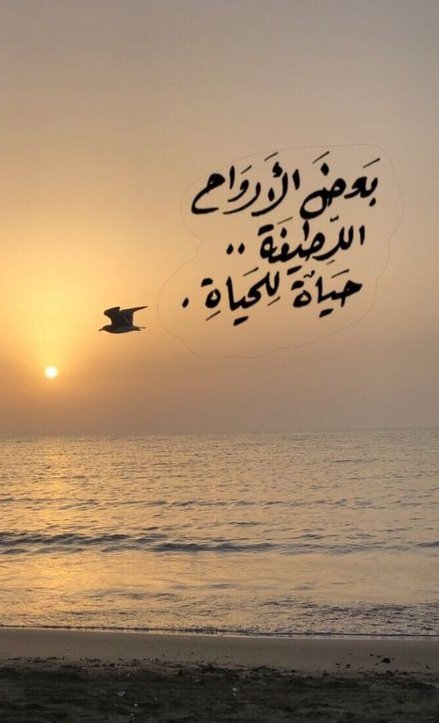 صباح معطر بزهور الورد لكل قلب نقى جميل بيتمنى الخير للجميع صباحكم ياغاليين💚💚💟💦