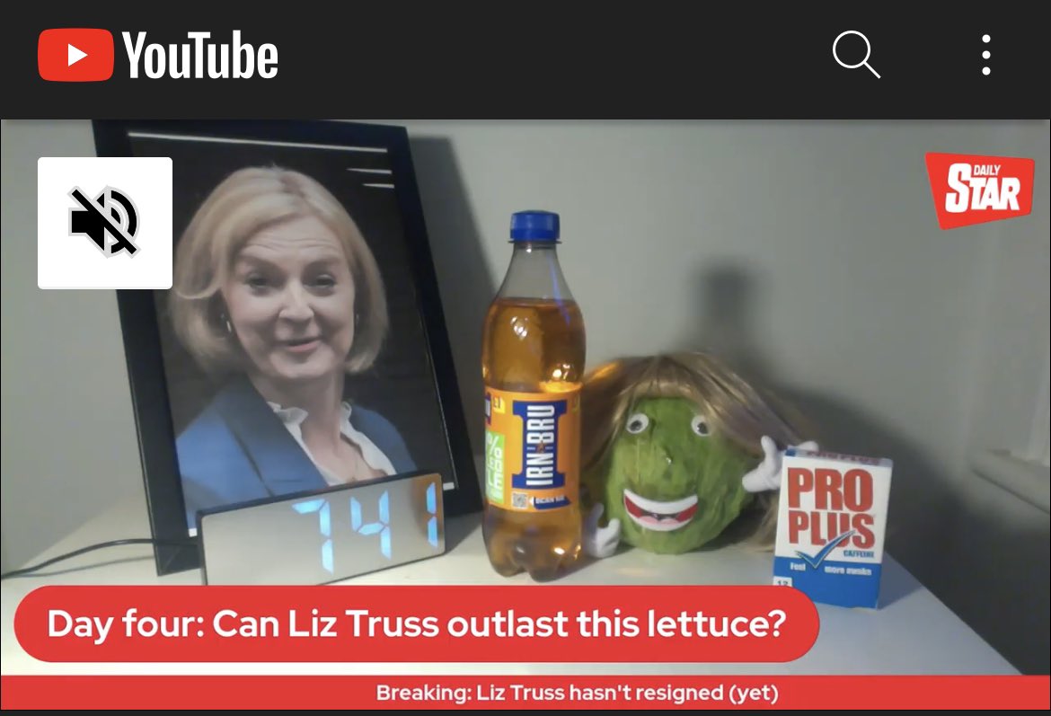 Day four: The Lettuce is dosing up on Pro Plus, necking it down with a bottle of Irn Bru #LizVsLettuce