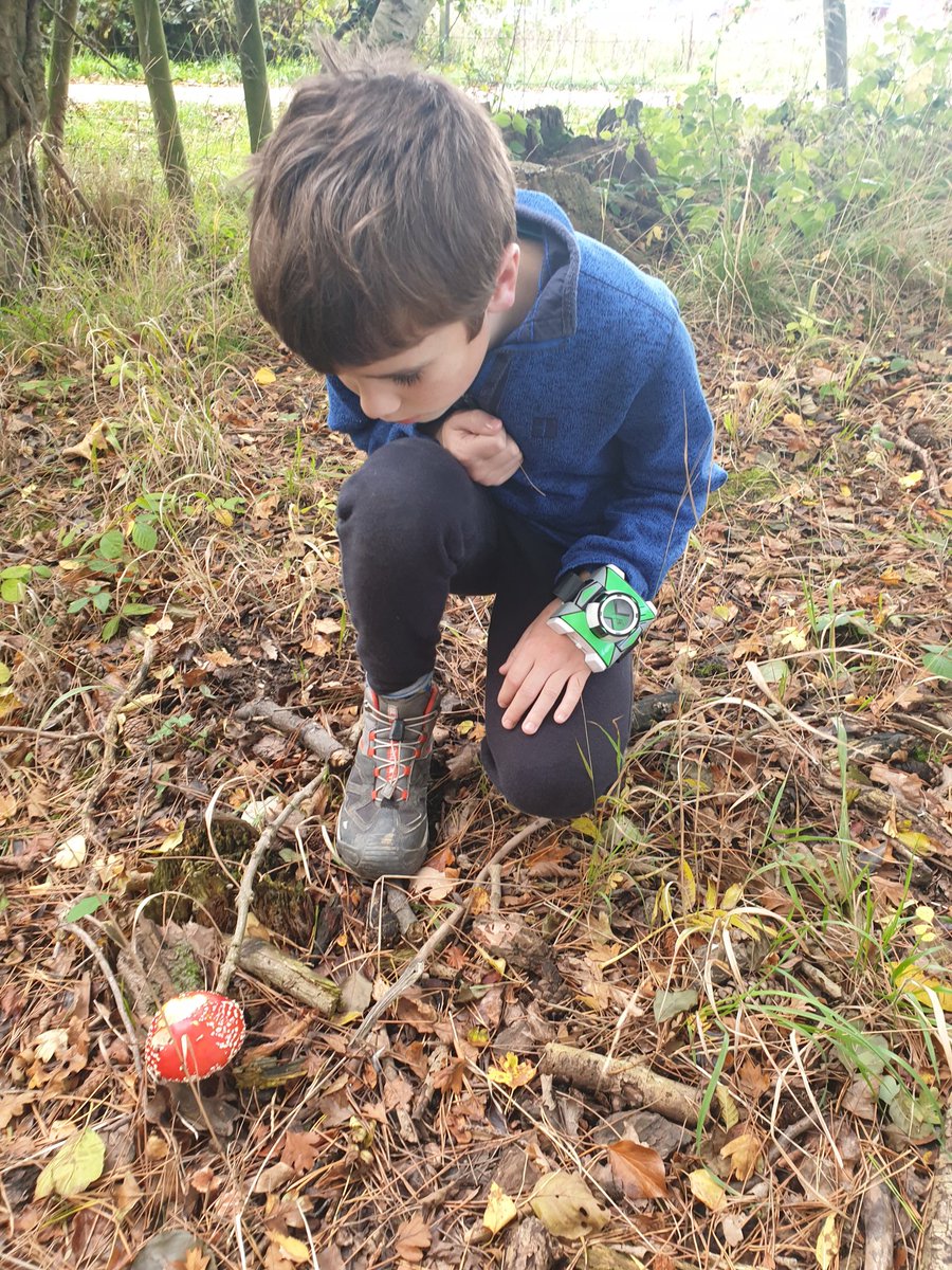 Bit of pond dipping at Calke Abbey and we stumble across this beauty #amanitamuscaria