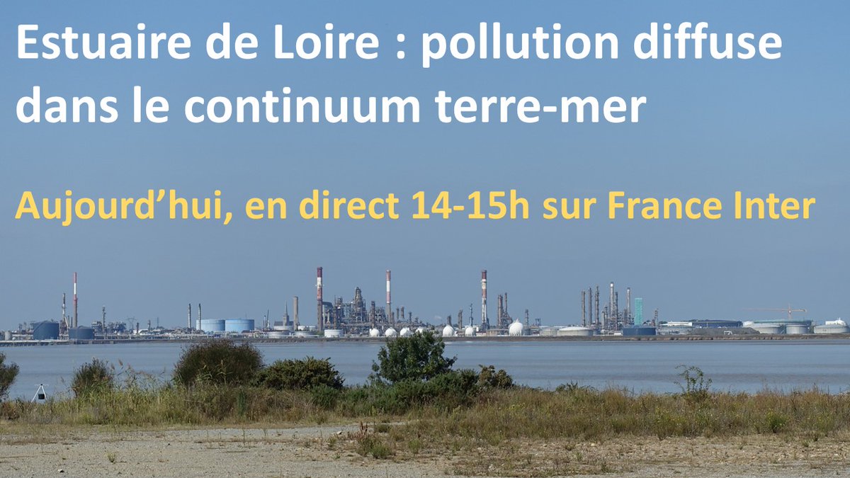 OsuNantes's tweet photo. #POLLUSOLS dans La Terre au Carré📻! Laurence Poirier (@RSBE2NantesUni) et Cécile Le Guern (@BRGM_fr), en direct de l'#estuaire de #Loire🛥️, évoquent les #pollutions diffuses dans le continuum terre-mer.

➕@LPG_Lab @Labo_EE #SUBATECH #LEMNA @Ifremer_fr

🔗https://t.co/d2LC5Rnppy https://t.co/1udeIx9KkF