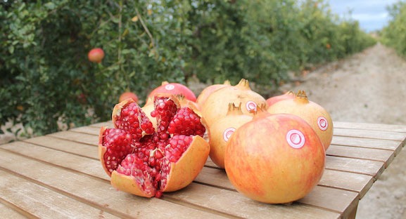 La grenade Orlana « AOP grenade de Elche » !

Orlana, qui vient de fêter ses deux années d’existence...

Lire la suite &gt;&gt;&gt; banagrumes.com/produit/la-gre…