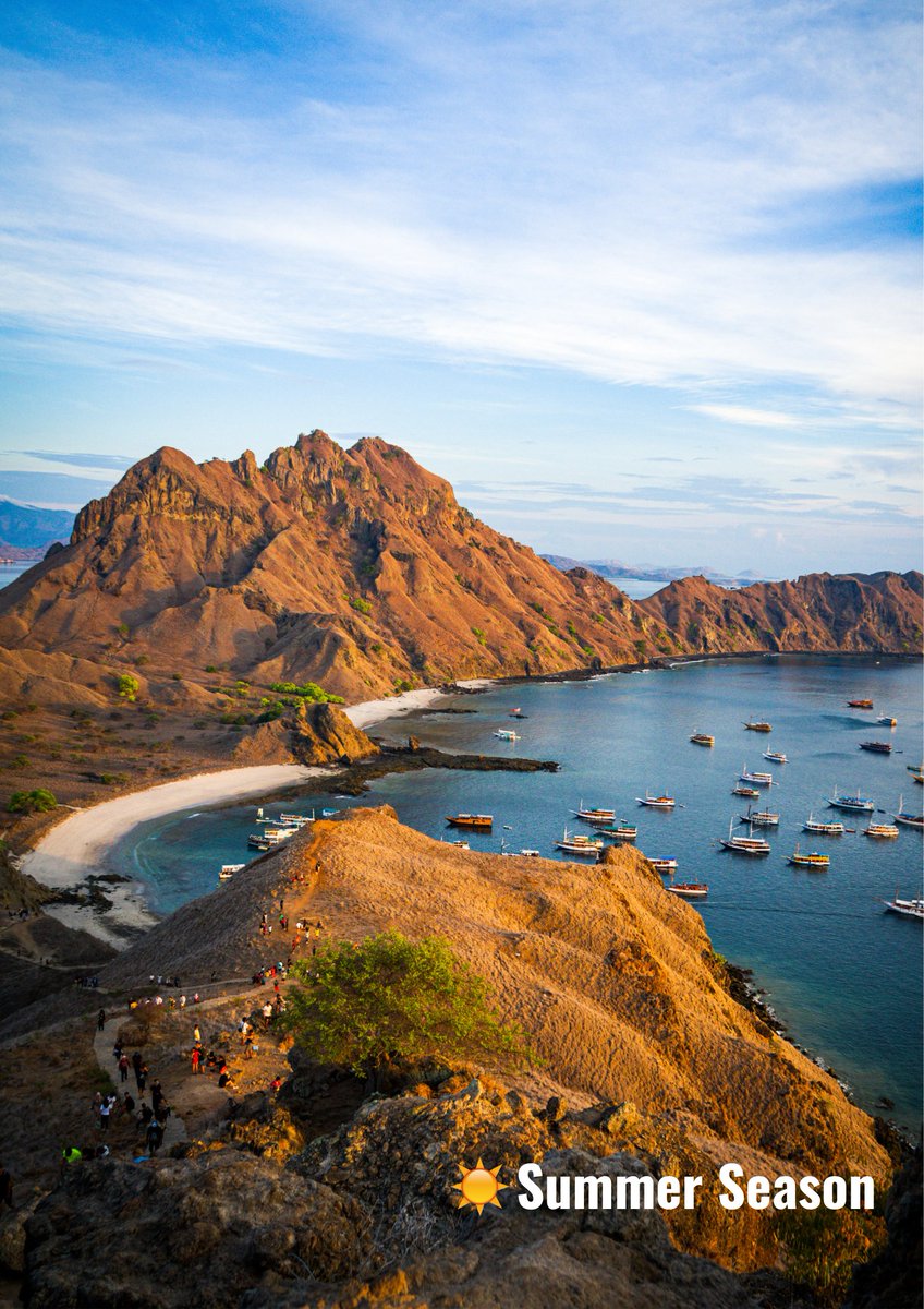 wonderfulid's tweet photo. ❤️Like if you love Padar Island in dry season
🔁Retweet if you love Padar Island in rainy season https://t.co/sF3eDubZaZ
