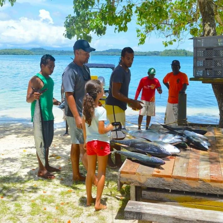 Visit Solomon Island tweet media