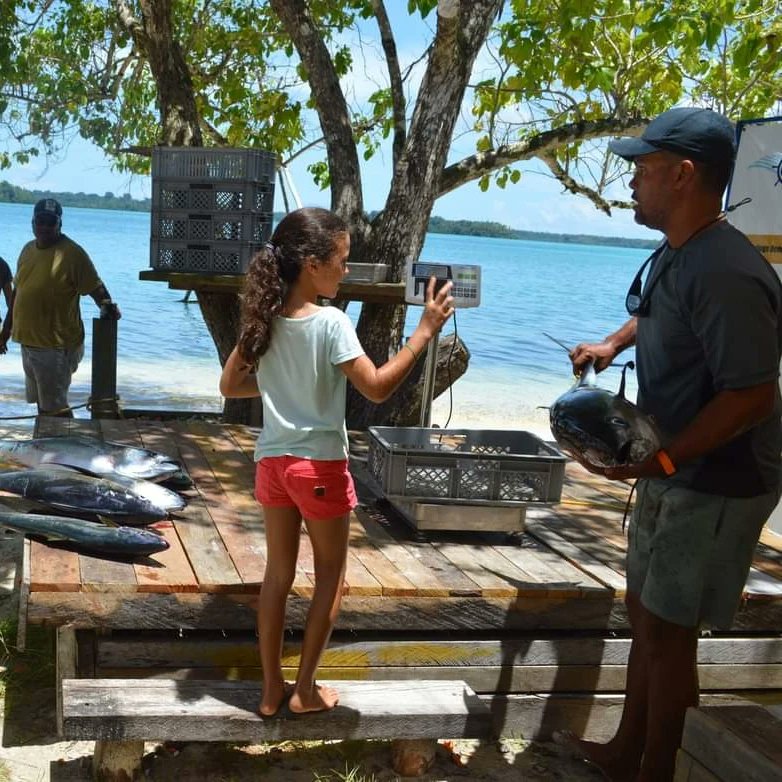 Visit Solomon Island tweet media