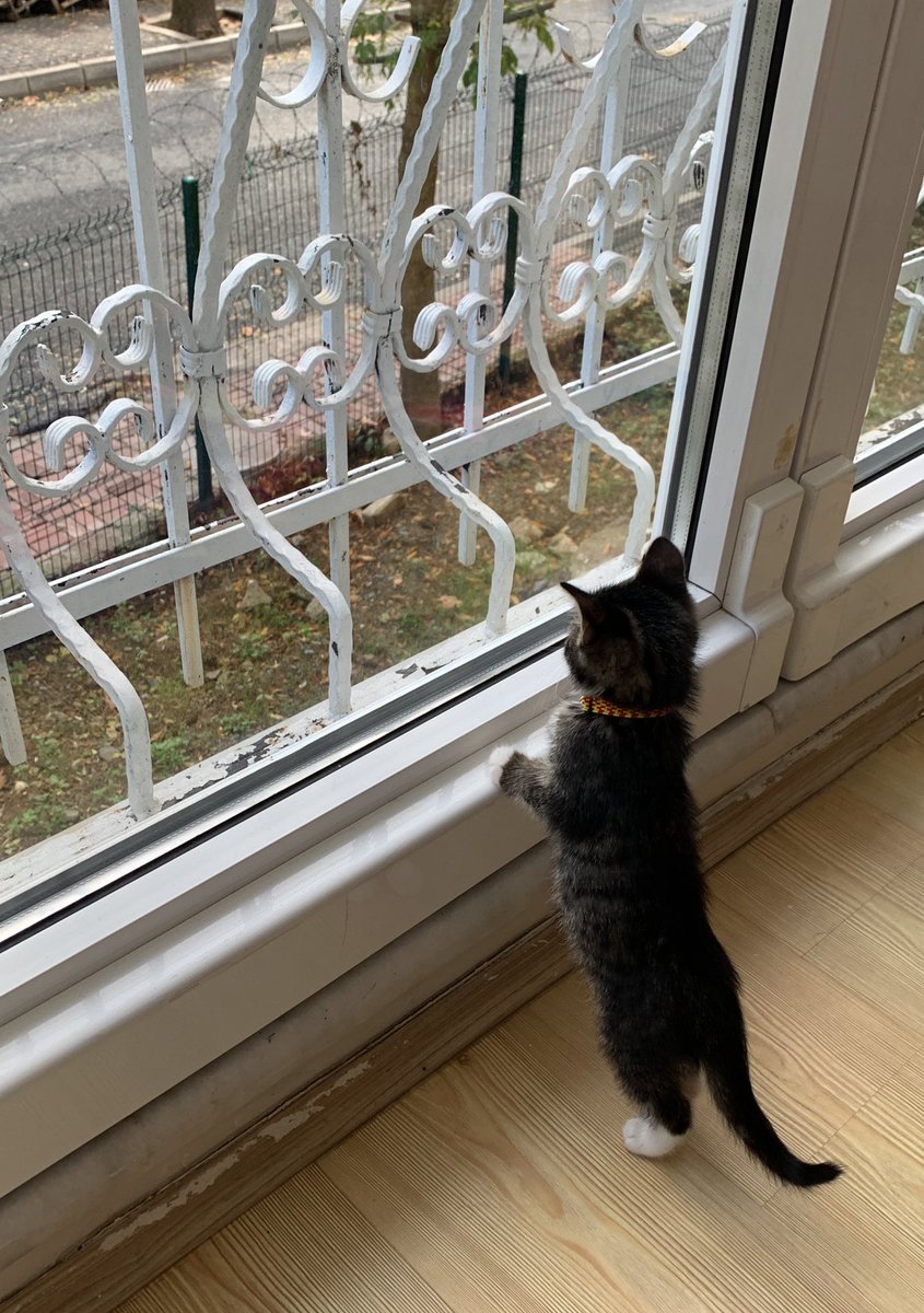 günamdım efde kimse yk bubamın yollarnı göslüom