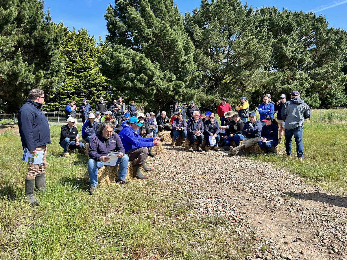 AgPrecision's tweet photo. Great to see so many farmers at the @pasturewise Crop walk today. Big thanks to Stuart Kemp for allowing us to be a part of the day.
#precisionagriculture #precisioncarbon #weknowsoil #topsoiltesting #subsoiltesting #soil #soilscience #cropping #pasture #horticulture https://t.co/1QPfLN3vh2