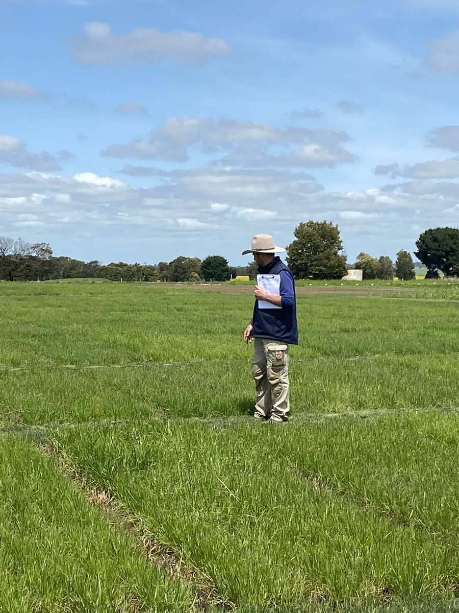 AgPrecision's tweet photo. Great to see so many farmers at the @pasturewise Crop walk today. Big thanks to Stuart Kemp for allowing us to be a part of the day.
#precisionagriculture #precisioncarbon #weknowsoil #topsoiltesting #subsoiltesting #soil #soilscience #cropping #pasture #horticulture https://t.co/1QPfLN3vh2