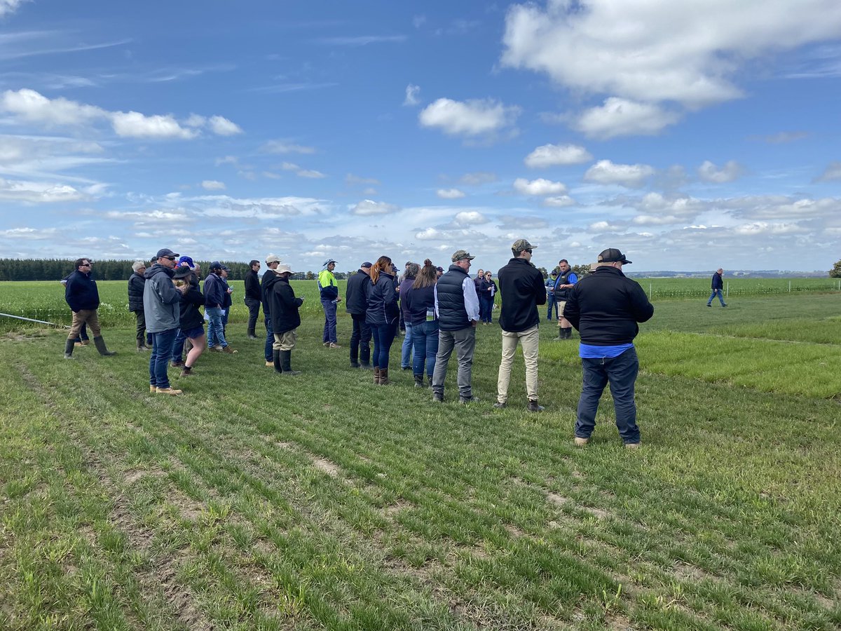 AgPrecision's tweet photo. Great to see so many farmers at the @pasturewise Crop walk today. Big thanks to Stuart Kemp for allowing us to be a part of the day.
#precisionagriculture #precisioncarbon #weknowsoil #topsoiltesting #subsoiltesting #soil #soilscience #cropping #pasture #horticulture https://t.co/1QPfLN3vh2