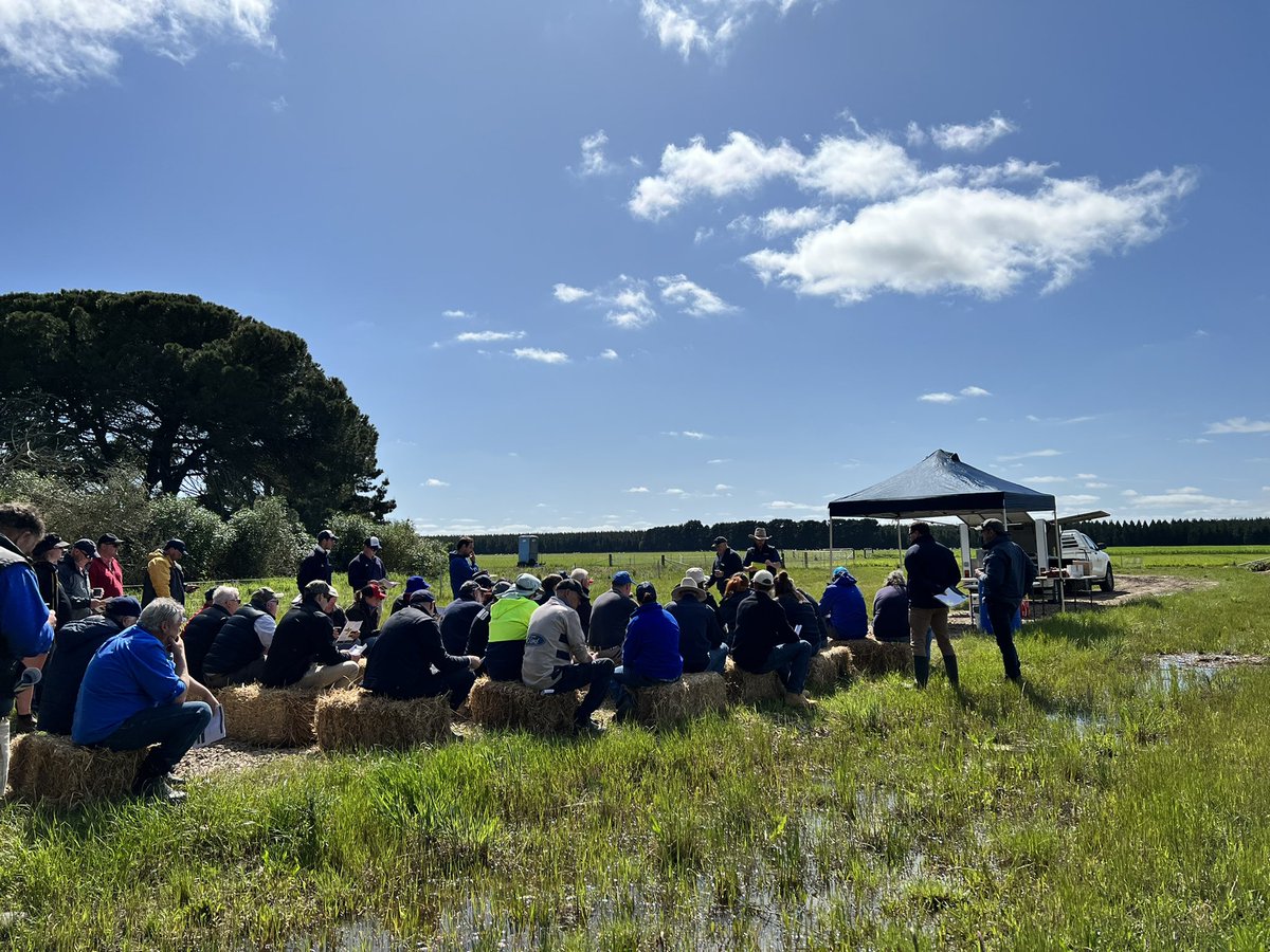 AgPrecision's tweet photo. Great to see so many farmers at the @pasturewise Crop walk today. Big thanks to Stuart Kemp for allowing us to be a part of the day.
#precisionagriculture #precisioncarbon #weknowsoil #topsoiltesting #subsoiltesting #soil #soilscience #cropping #pasture #horticulture https://t.co/1QPfLN3vh2