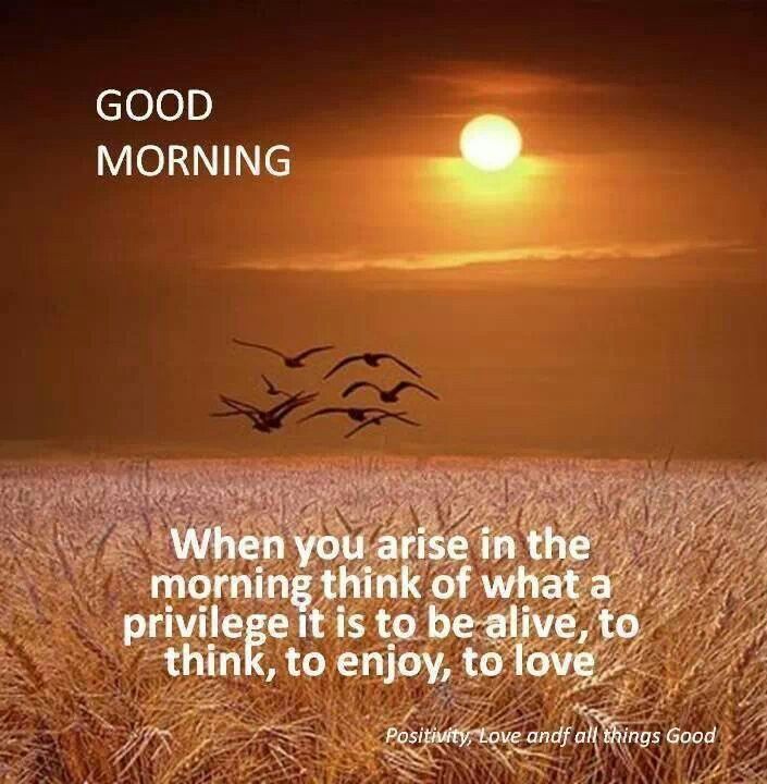 Good Morning 💛🕊