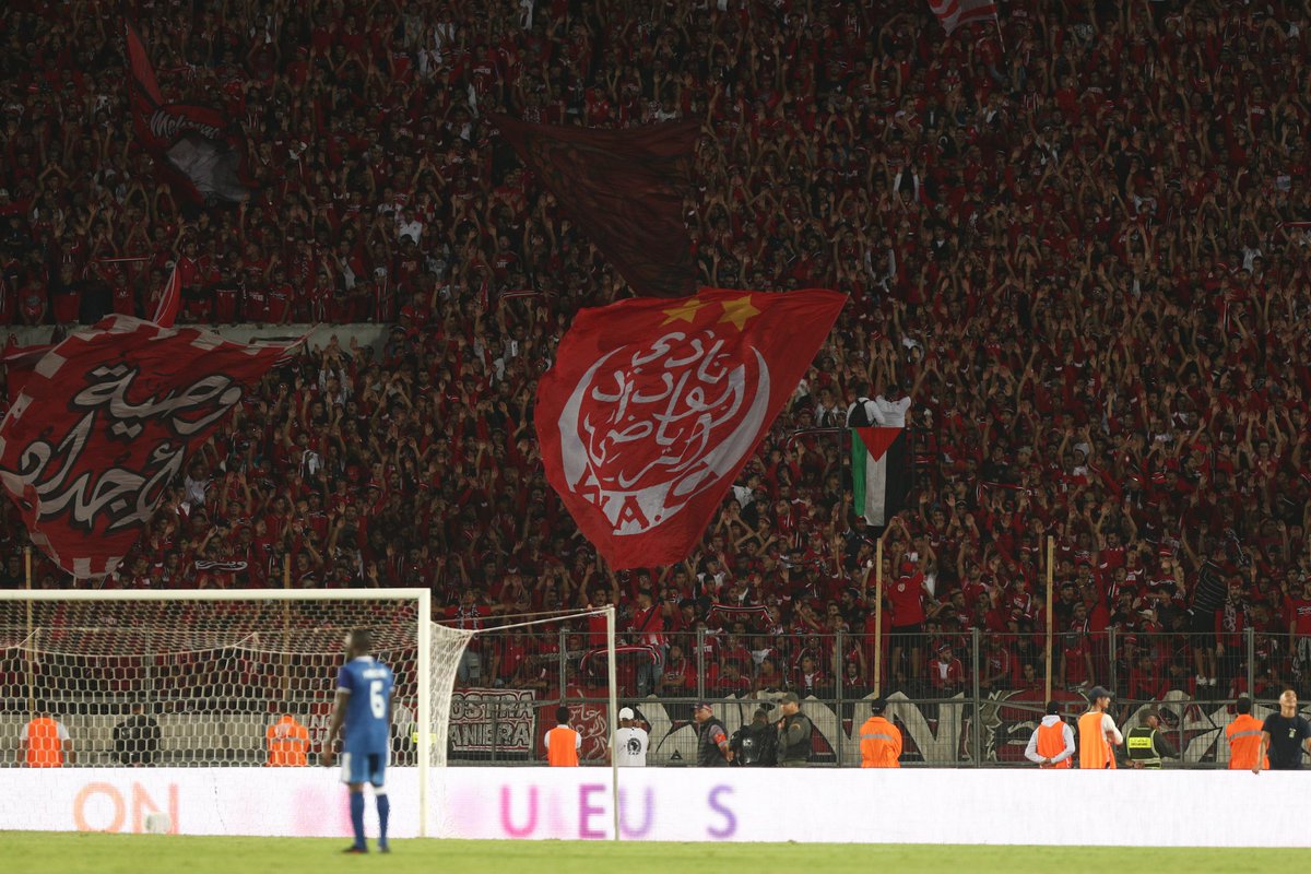 BackpagePix 📸 tweet media