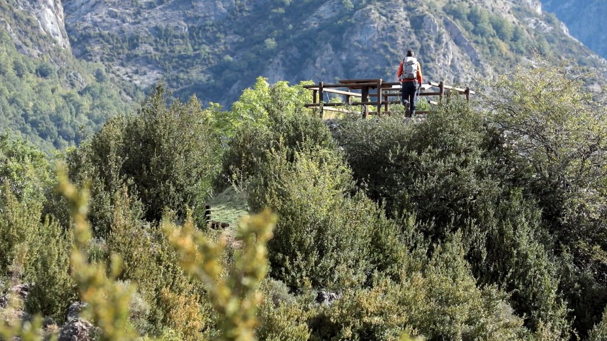 AVISO IMPORTANTE:
Pasamos a las noches de los miércoles. Pasado mañana, a las 21:45 horas, emitiremos un precioso paseo por el entorno de Panticosa y El Pueyo de Jaca. Habrá una sorpresa muy especial...
<a href="/aragontv/">Aragón TV</a>