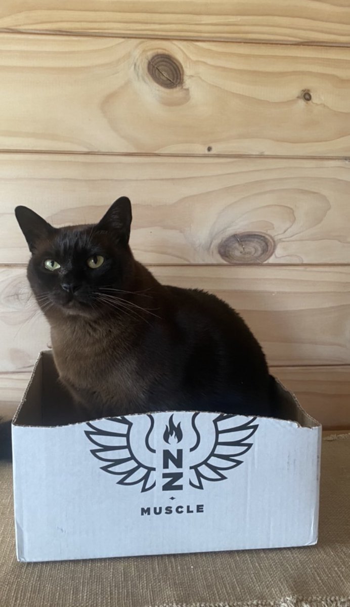 Amanda Lees tweet media