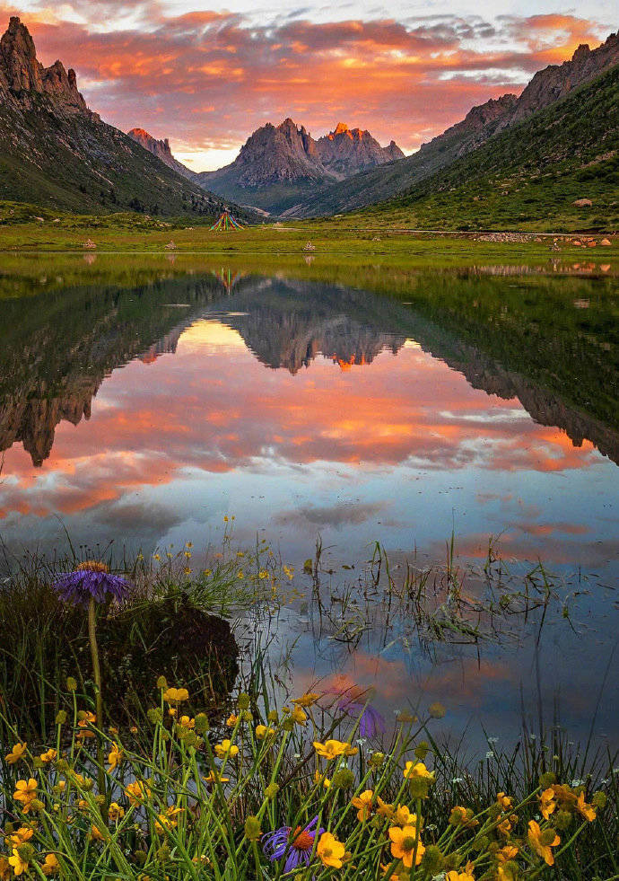 ViVi Tong tweet media