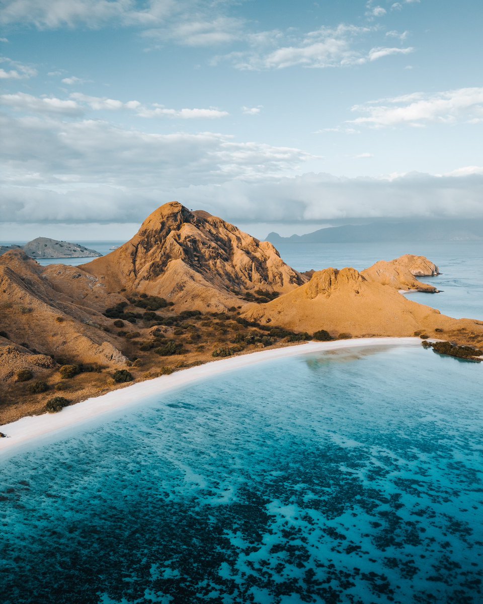 GM everyone ☕️ Komodo vibes today 🐉