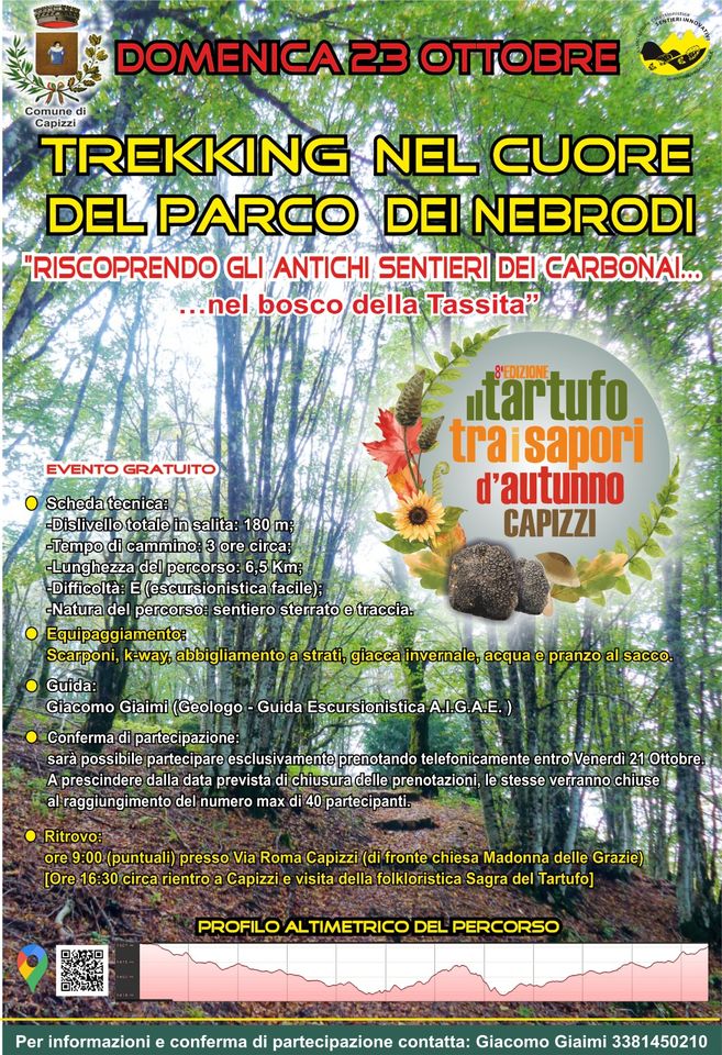 VisitSicilyOP's tweet photo. Trekking nel cuore del @ParcoNebrodi... nel Bosco della Tassita
23 Ottobre #Capizzi
https://t.co/irmk8PCUqk #eventisicilia22 #visitsicilyinfo #Messina https://t.co/W29xhjBRPz