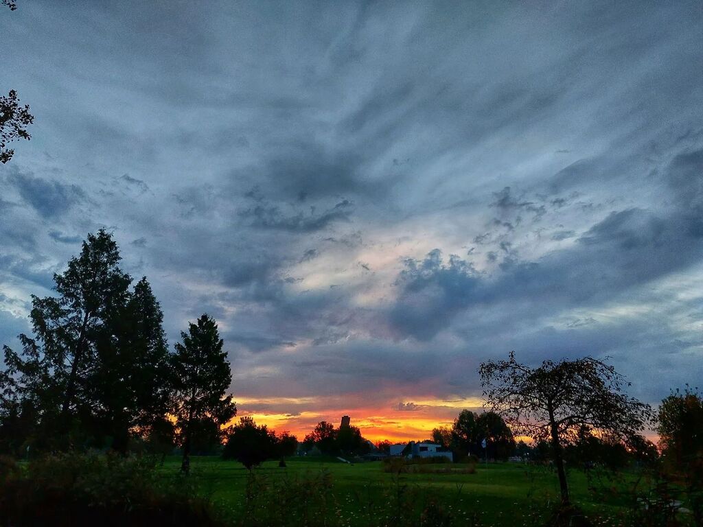 Elcrest's tweet photo. #sunrise #zonop #kardinge #mogge https://t.co/SHnWQsTCAz https://t.co/yFBfBOVGxC