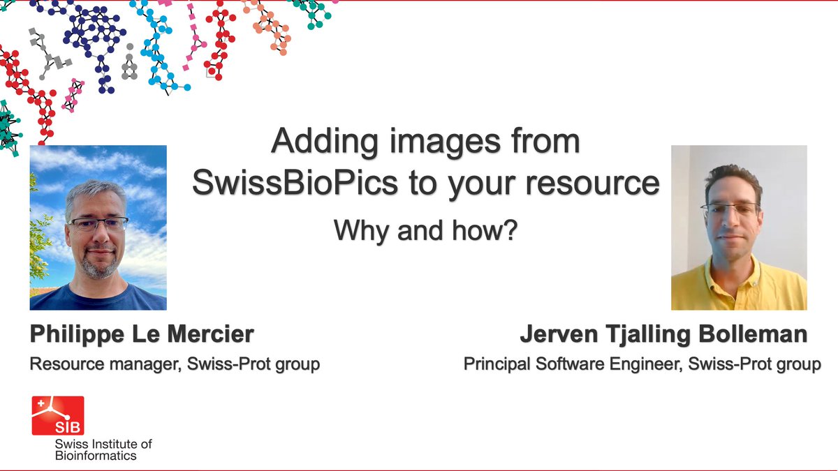 Latest #insilicotalks 'Adding images from #SwissBiopics to your resource: why and how' by SIB’s @ViralZone and @jervenbolleman Find out how you can use this library of interactive cell images to bring your database to the next level! Watch here ▶️tinyurl.com/3aytj5c3