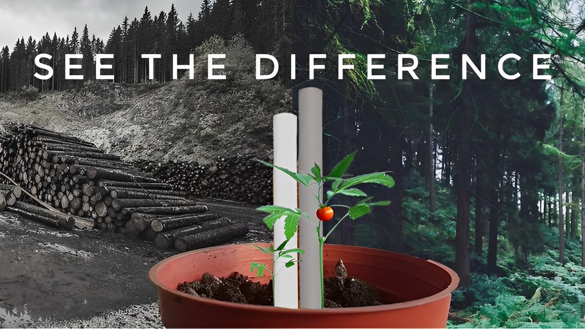 Strawseed11's tweet photo. STRAWSEED Presents: 
PLANTABLE STRAW by Green Project 💚
A STRAW that becomes the remedy
A STRAW that is eco- friendly.

#strawseed
#plantablestraw https://t.co/TsD4qJ7l0H