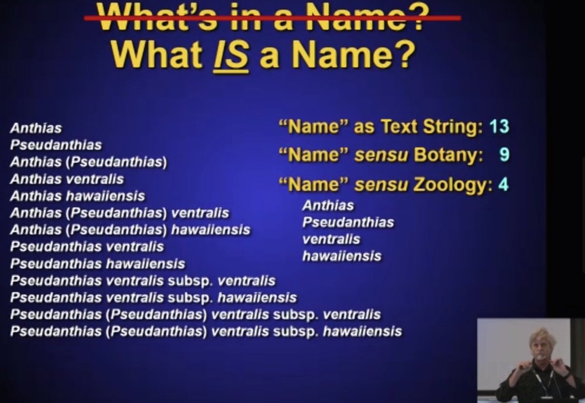 Watching a fabulous keynote presentation on taxonomy for non taxonomists by Richard Pyle at #TDWG2022