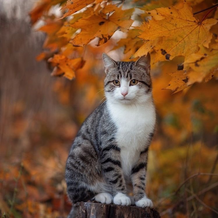 Nature4784's tweet photo. https://t.co/zdkDGK792d