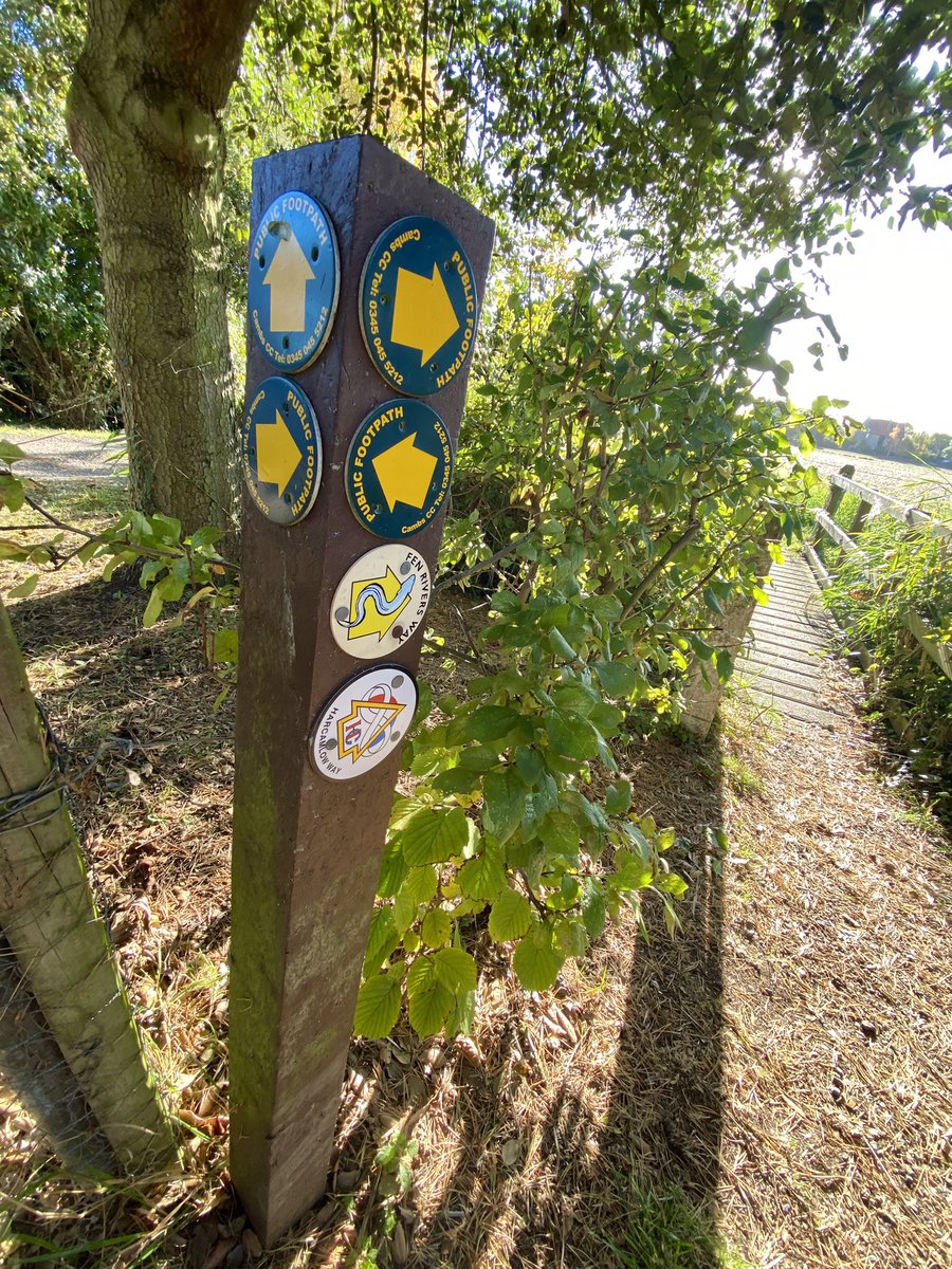 Jay Gunn tweet media