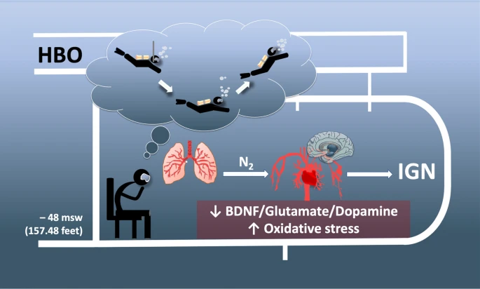 Check out this interesting proof of concept study: Dopamine/BDNF loss underscores narcosis cognitive impairment in divers: a proof of concept in a dry condition. By G Bosco et al @UniPadova @CNRsocial_ @hopkinsheart #openaccess #ROS #diving rdcu.be/cXHmv