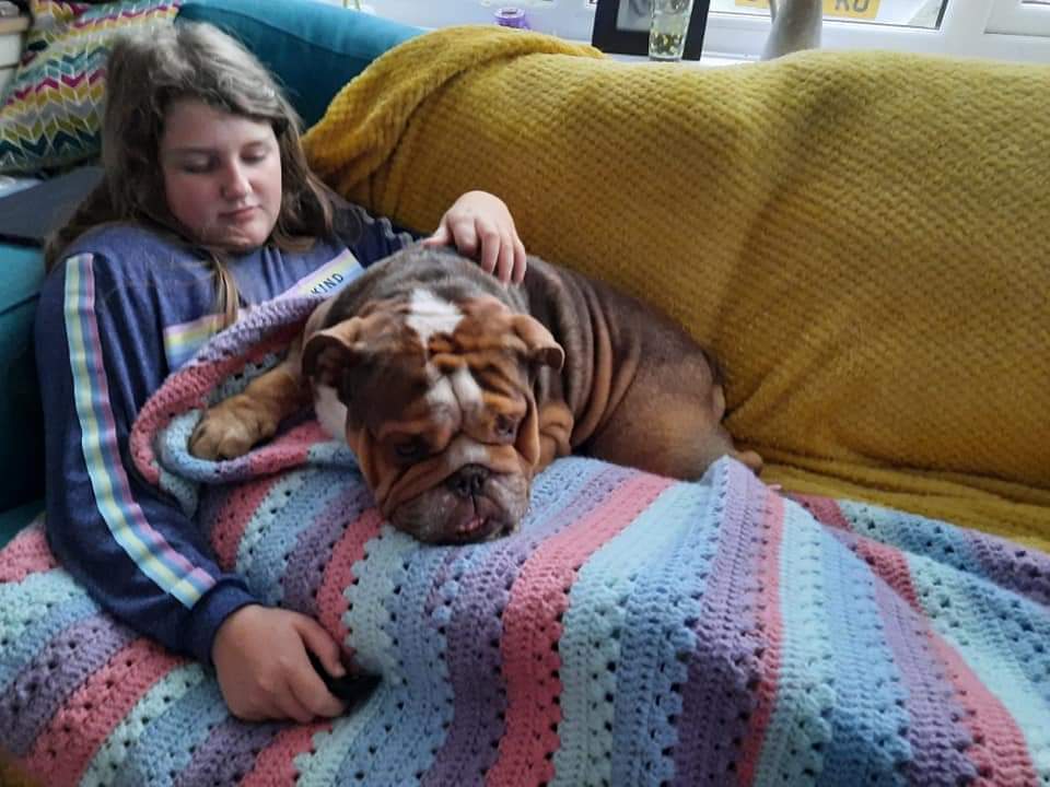 sarahpriest77's tweet photo. 12 months since her official diagnosis.
450 days since she has been well.
450 heartbreaking 💔 days of watching her struggle with various symptoms.
450 days of childhood lost.
450 days of existing.
450 days of waiting for help and treatment.
450 days of wanting to be well again. https://t.co/uJPkv9bTc6