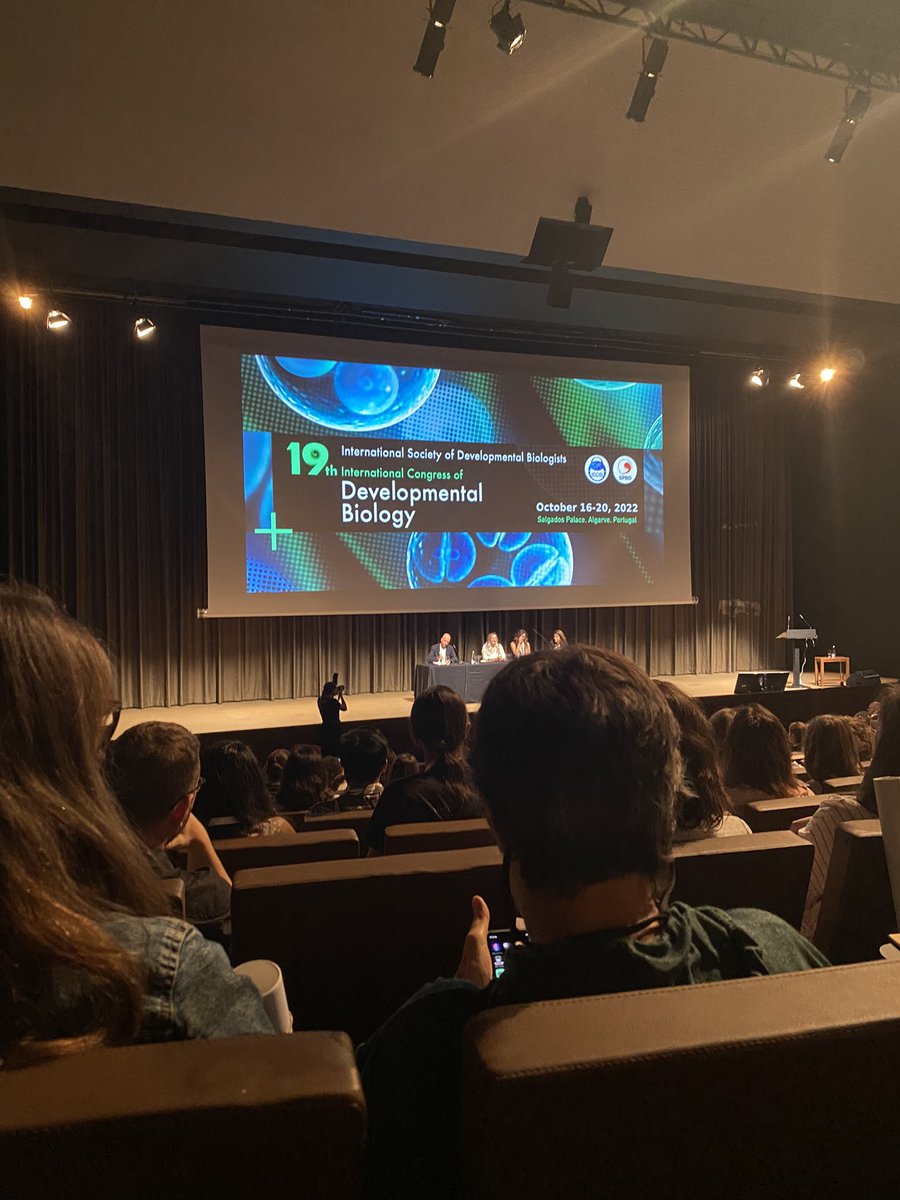 MarieCh_Leitner's tweet photo. Very excited about #ISDB2021. Inspiring first day yesterday.
If you want to know more about posterior lateral plate mesoderm, come to poster 297 today :) #lateralplatemesoderm #devbio #organoids @IntSocDevBiol https://t.co/rjuw6YqFje