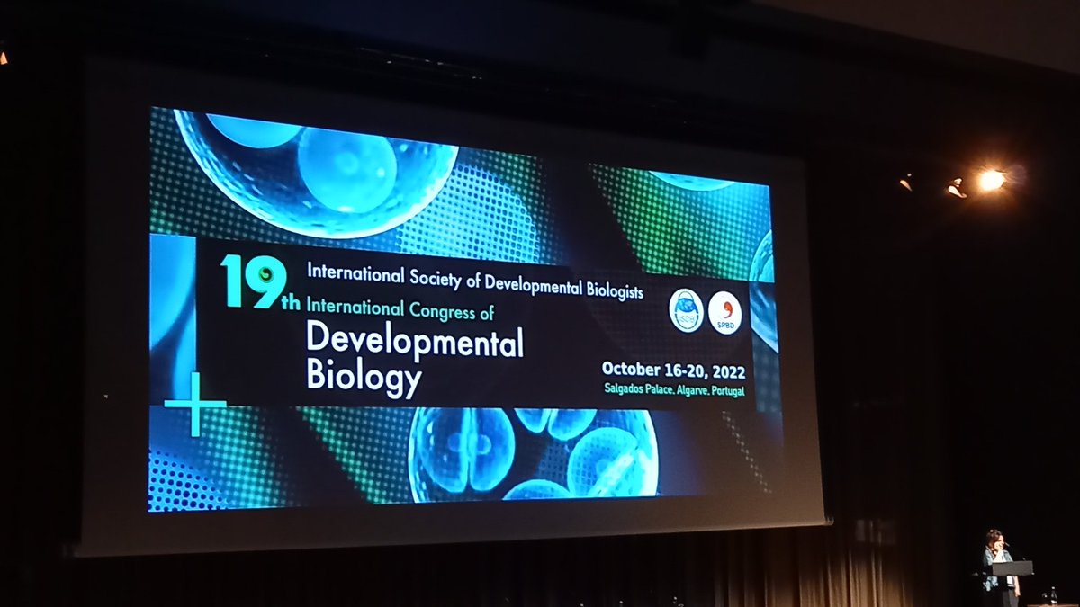 Thrilled to be at #ISDB2021 in beautiful Algarve! Come find me at poster #161 to know more about cardiopharyngeal mesoderm and craniofacial muscles 🙂