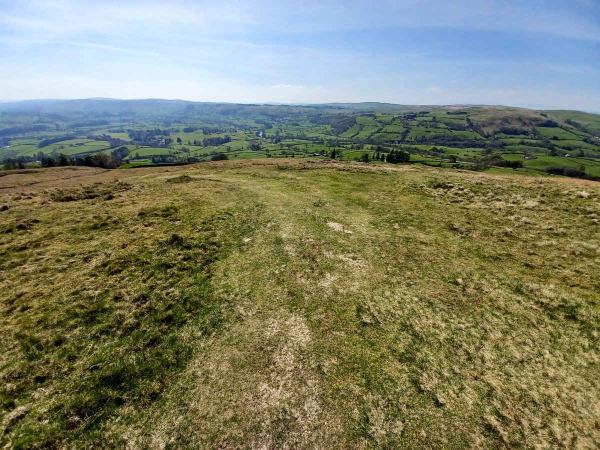 Foundation for Common Land tweet media