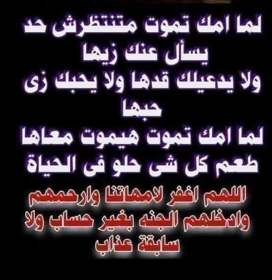Sherif Abogabal (@sherif_abogabal) on Twitter photo 