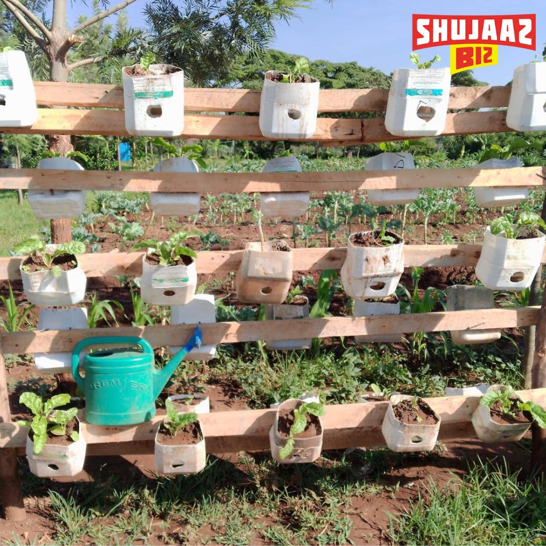 TheDJBoyie's tweet photo. Unaweza grow nini place yenye ume-rent keja?

#KilimoNiBiz #ShujaazBiz
#MotivationalMonday 

📷 Ray Baraiywo https://t.co/GyJIEGepza