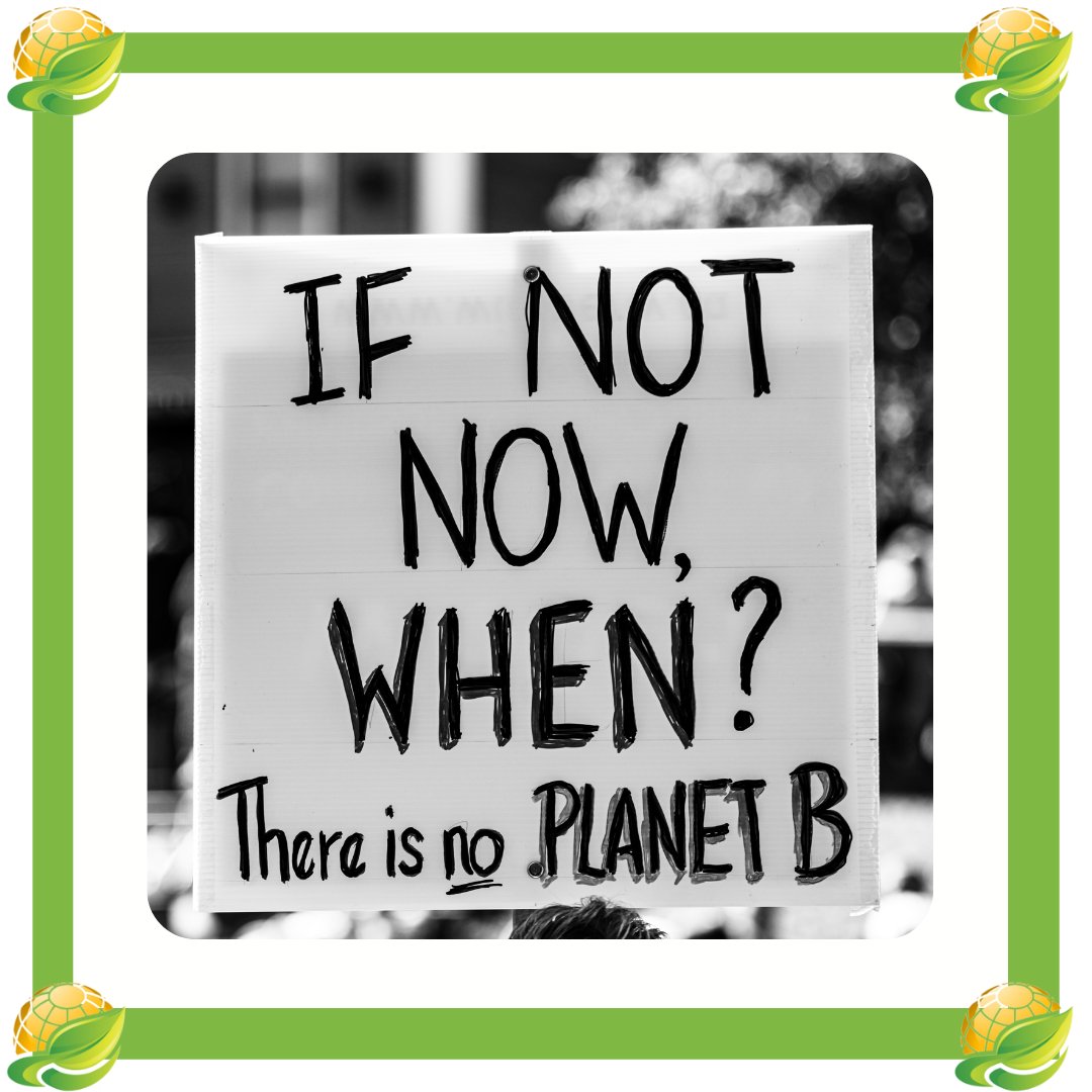 GreenActionSo's tweet photo. Climate change is a real threat that must be addressed through a combination of immediate and long-term solutions. 
The sooner we act, the better it is for the planet, people and other species that depend on a stable environment.

#greenactionsociety #climatechange #trees #kenya https://t.co/y5RiyxmKp6