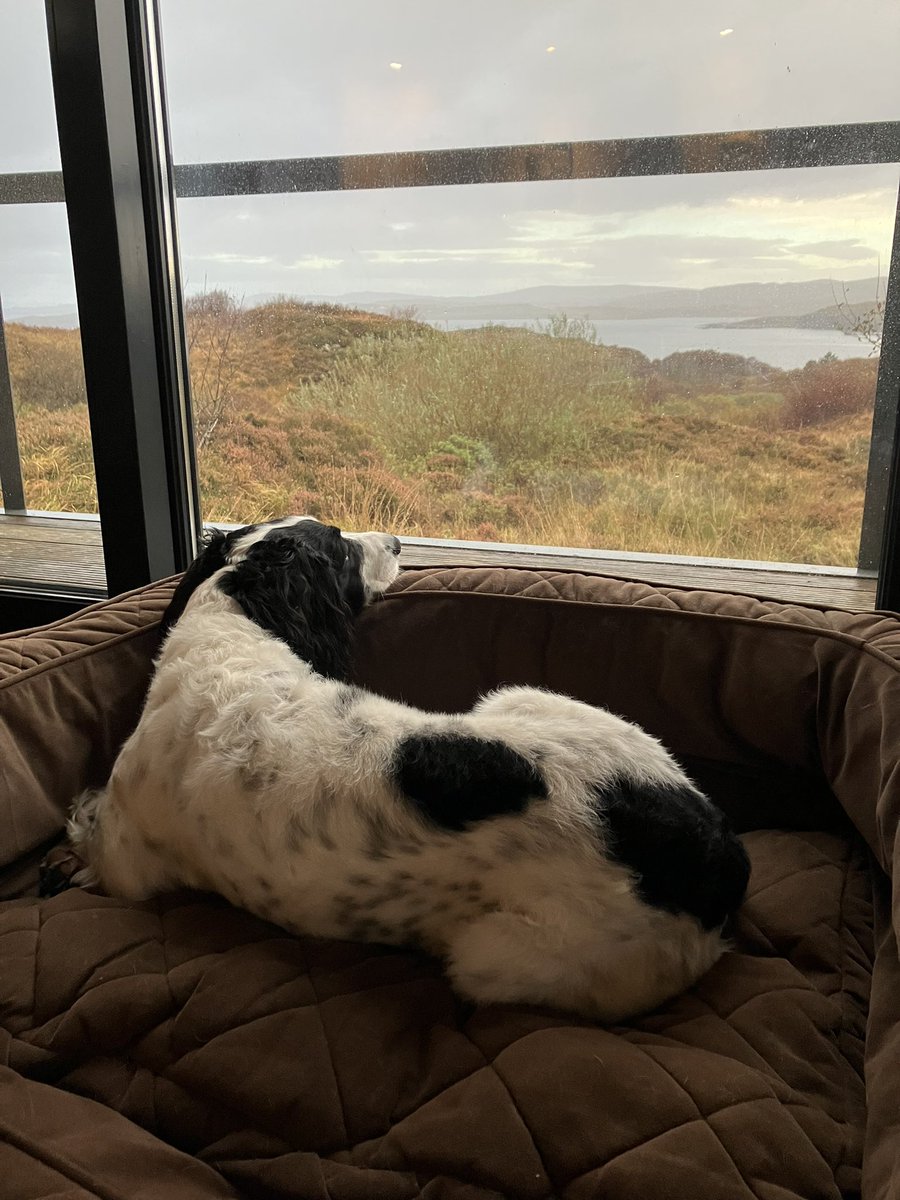 LizJFields's tweet photo. From being super tired last night, to enjoying an amazing view from his bed this morning. https://t.co/1oKcyVqXq7