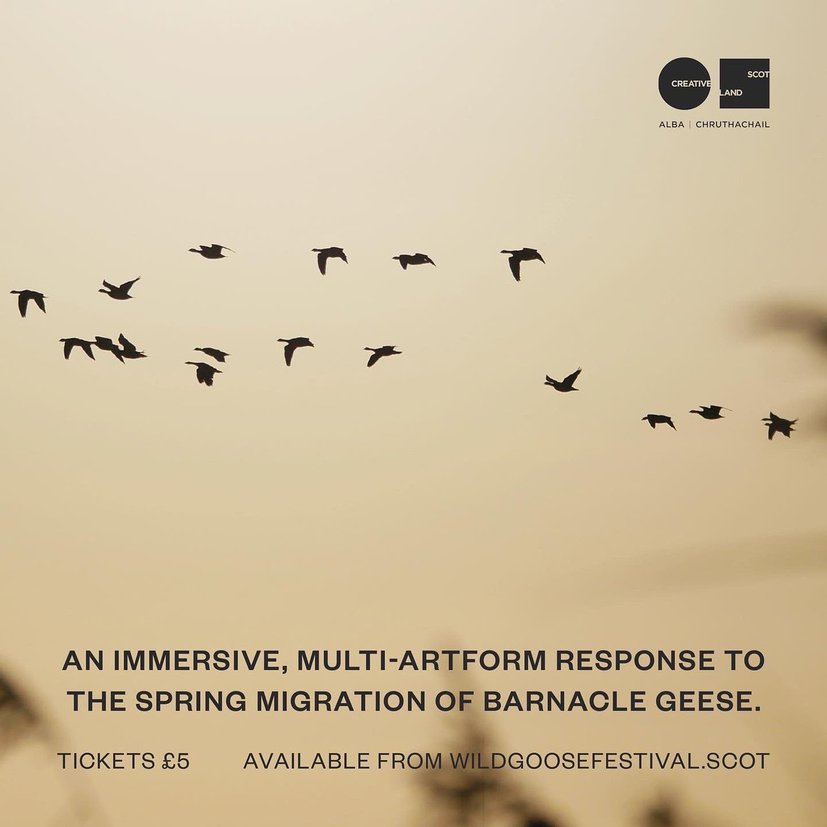 andersondavey's tweet photo. It’s not too often you get to work on a show about a literal wild goose chase! 3 cinema screens, an immersive soundscape, live orchestral score, barnacle geese. It sounds mental… https://t.co/ipEg90ULaJ
