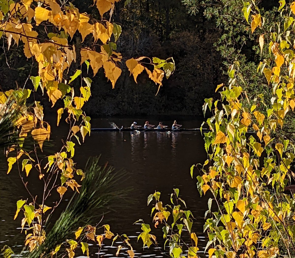 qrcrowing's tweet photo. Another golden weekend. Congrats to our gold medalists! #nhchampsregatta #rowing #mastersrowing  #row https://t.co/pkRwbhH8tA