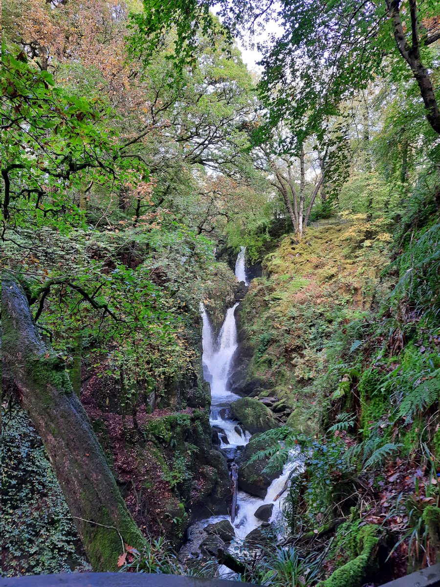 chesteroutdoor's tweet photo. It might have been blustery winds and horizontal rain at times but we still managed to top up on vit D and get some hikes in 🥾🌄🌤🌧🌬 its easier to do with the club... join us next time? 😎 @ShitChester #greatoutdoors #hiking #LAKEDISTRICT https://t.co/n0nRkyOCoP