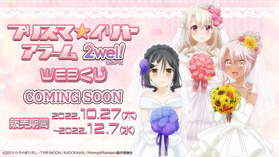 Fate/kaleid liner プリズマ☆イリヤ ドライ!! ロングクッションカバー