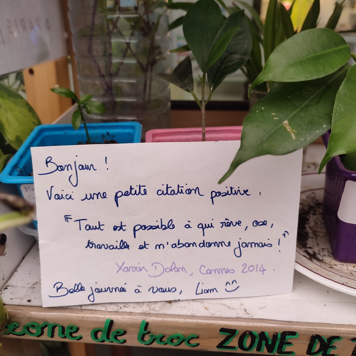 bibCanopee's tweet photo. #vie2bib #troc #motdoux #bibverte
Dernière trouvaille intercalée dans la bouturothèque ! Merci Liam pour les ondes positives :)) https://t.co/PzABRUODkF