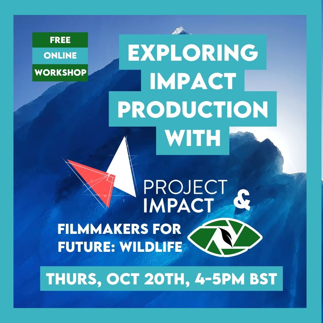 FFWildlife's tweet photo. Join our FREE ONLINE workshop collab with #ProjectImpact - "Blending Impact with Entertainment": https://t.co/pijiGaOljy. THIS Thursday 20th Oct, 4-5pmBST. Don't worry if you didn't make the first one, ALL are welcome from any role, location and no prior knowledge is needed. https://t.co/PvOSlWA7MY