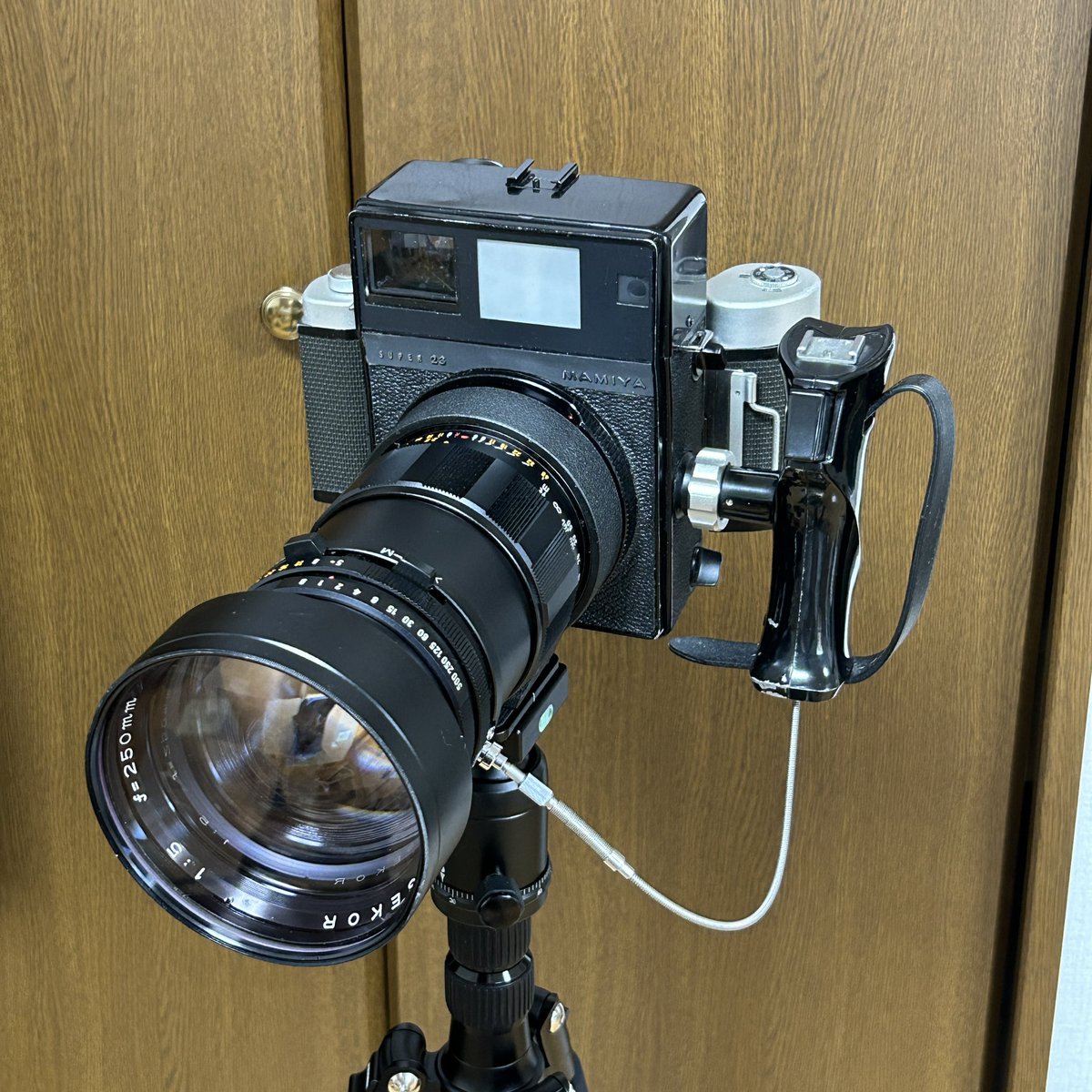 utut_photo's tweet photo. マミヤプレスの交換レンズで最長の250mm F5でスナップしてきました。重さで手首がヤバかったですが、写りが良すぎてビックリです。マミヤの実力すごい…ボケも大きいし。
(街中で何度か二度目されてはずかしかった…)
#フィルム #オールドレンズ #mamiya #mamiyapress #写真好きな人と繋がりたい https://t.co/kHmpZ7azGl