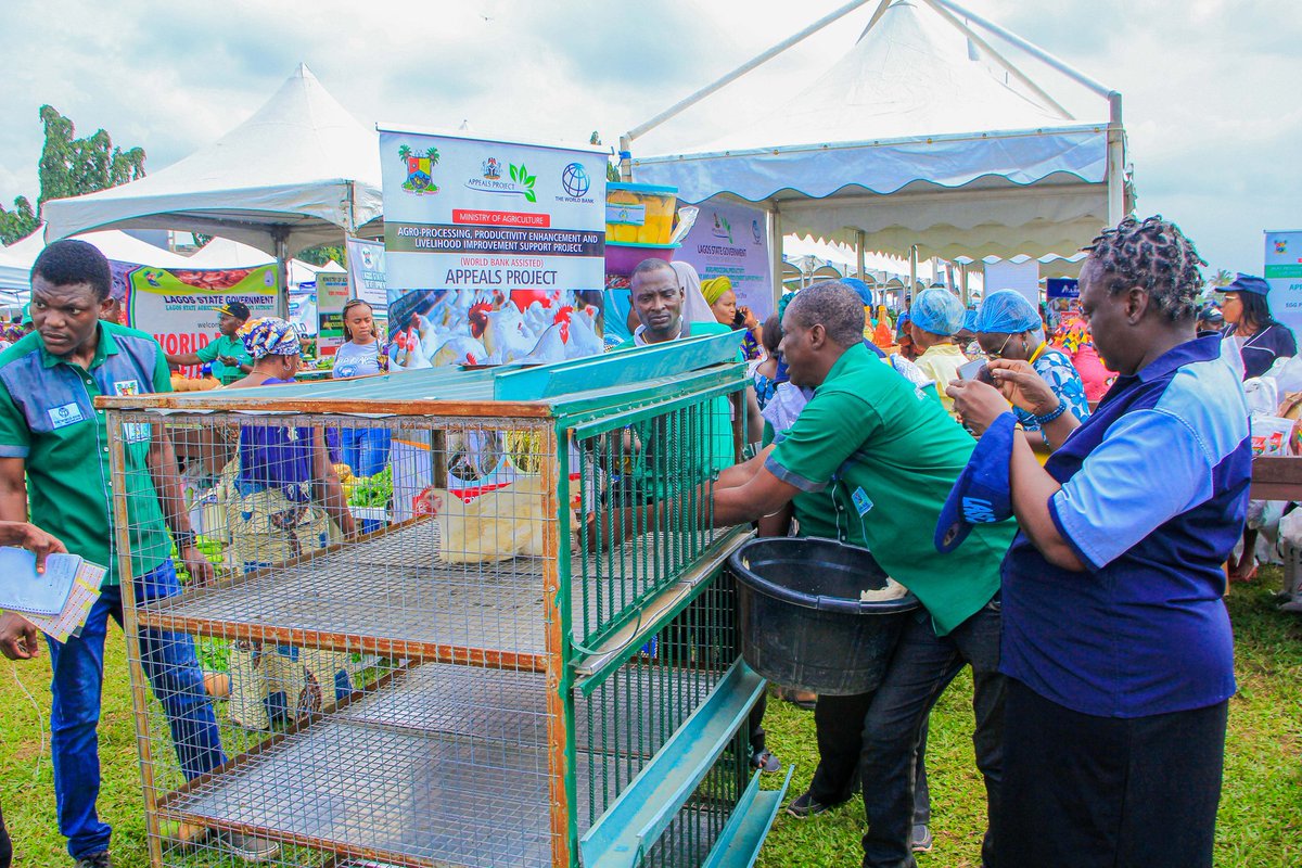 Lagos APPEALS Project tweet media