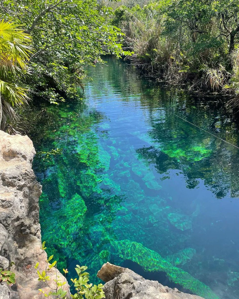 insta_Hop's tweet photo. "Lost my heart in México 🇲🇽 - @mrs.vanthy"

Share your mexico adventures with us by tagging #hopwithjoy in your photos! https://t.co/hRIwzV574N